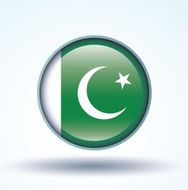 Flag of Pakistan vector illustration N11