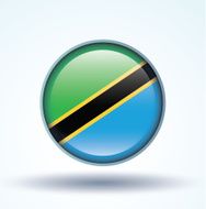 Flag of Tanzania vector illustration N9