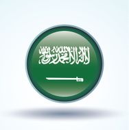 Flag of Saudi Arabia vector illustration N8