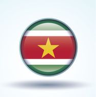 flag of Suriname vector illustration N11