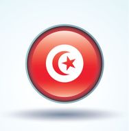 Flag of Tunisia vector illustration N9