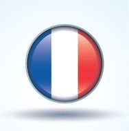 Flag of France vector illustration N7