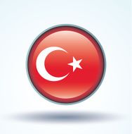 Flag of Turkey vector illustration N8