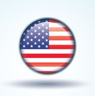 Flag of United states america vector illustration N9