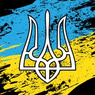 Ukraine Flag N10