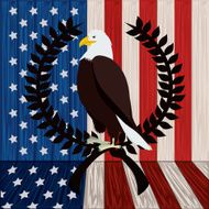 Usa Design N10