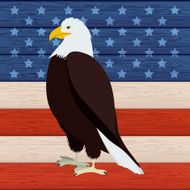 Usa Design N11