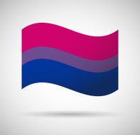 Bisexual flag N2