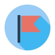 Flag single flat icon N2