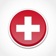 Swiss Flag N8
