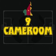 CAMEROON soccer ball illustration