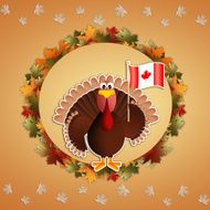 Turkey with flag of Canada