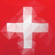 Swiss Flag N9
