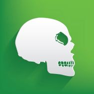 Skull symbol on green background clean vector