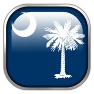 South Carolina State Flag square glossy button