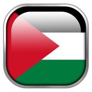 Palestine Flag square glossy button