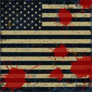 Flag of the USA N6
