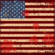 Flag of the USA N8