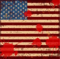 Flag of the USA N10