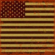 Flag of the USA N20