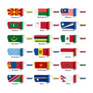 roller brush with flag N5