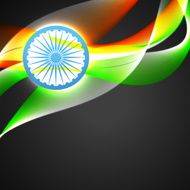 indian flag vector