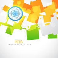 shiny indian flag