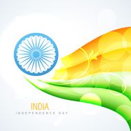 indian flag vector N2