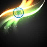 shiny indian vector flag design