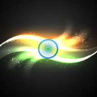 shiny indian flag N2