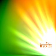 India Flag N49