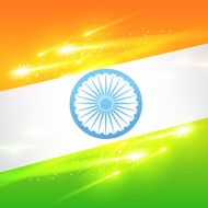 indian flag vector N4
