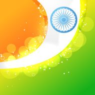 creative indian flag N7