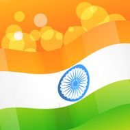 vector indian flag design art N2
