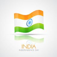 India Flag N51