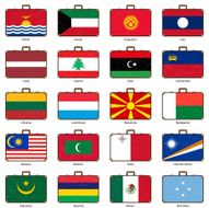 suitcase with flag N2