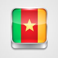 Flag of Cameroon N9