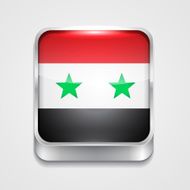 flag of Syria N10