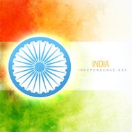 indian flag vector N8