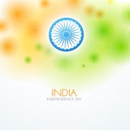 shiny indian flag N5