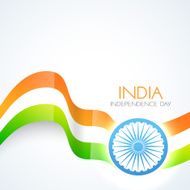 beautiful indian flag N3