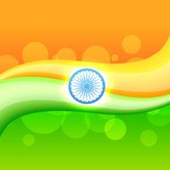 creative indian flag N9