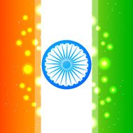shiny indian flag N6
