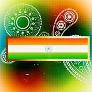 vector flag of india