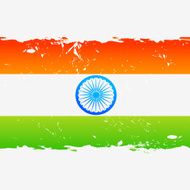 Indian Flag N20