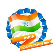 indian flag label N10