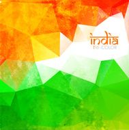 grunge style indian flag N3