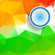 vector indian flag N7