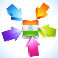 Flag of India N13