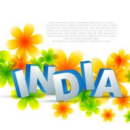 creative indian flag N11